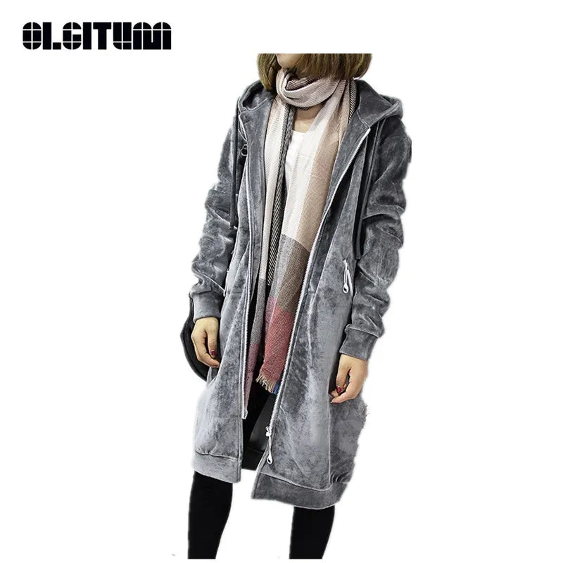 Thick Warm Hooded Basic Coats Women Sweatshirts Casual Loose Lady Winter